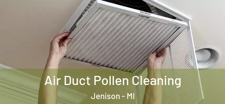  Air Duct Pollen Cleaning Jenison - MI