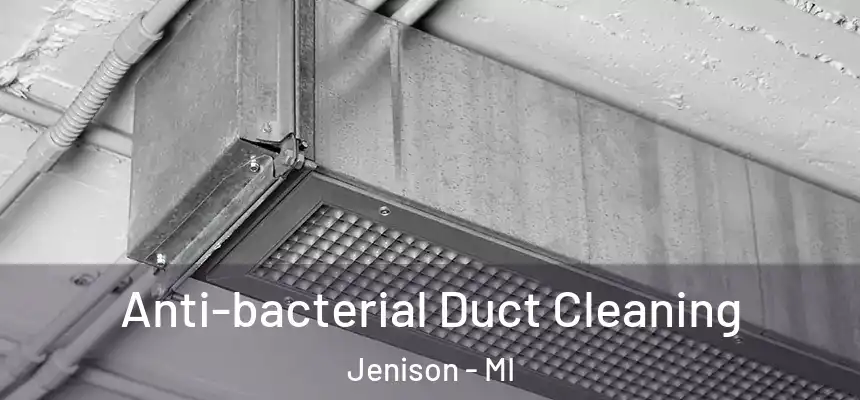  Anti-bacterial Duct Cleaning Jenison - MI