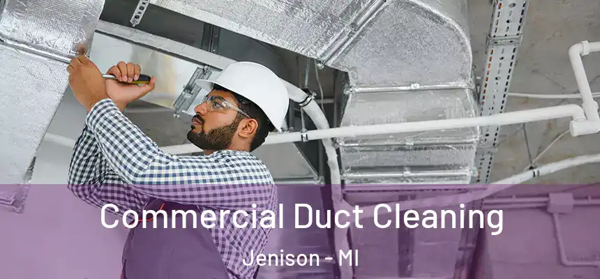 Commercial Duct Cleaning Jenison - MI