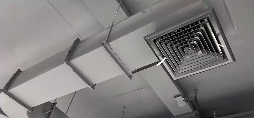 Restorative Allergy Relief Vent Cleaning – Coil, Blower & Housing Detail in Jenison