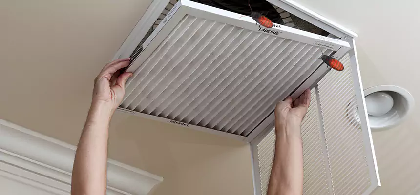 Our Insect Removal from Air Ducts Services in Jenison, MI