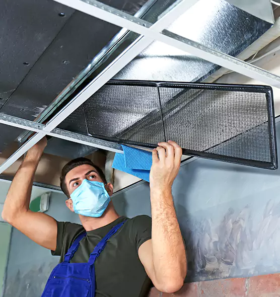 About Air Duct Bacteria Removal in Jenison