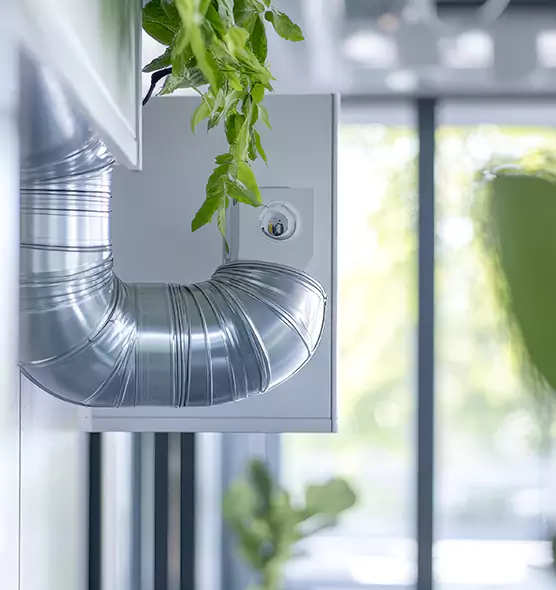 Professional Eco-Safe Dryer Vent Cleaning in Jenison, MI