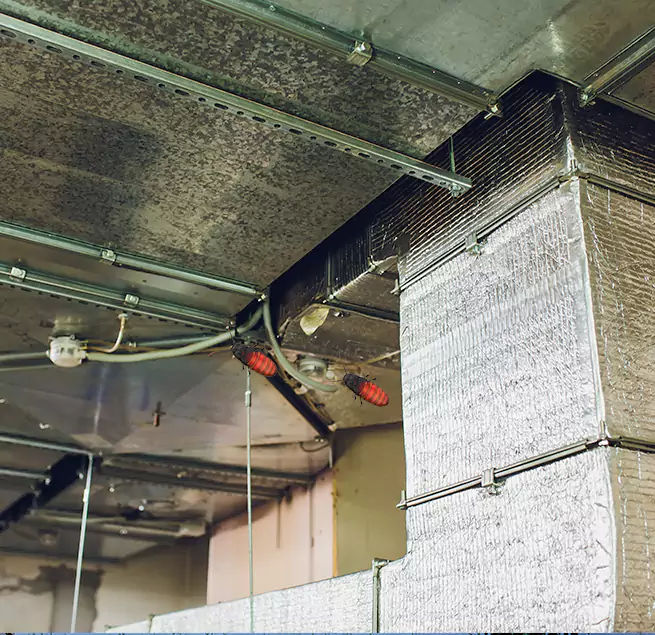 Why Homeowners & Businesses Trust Us in Jenison, MI?