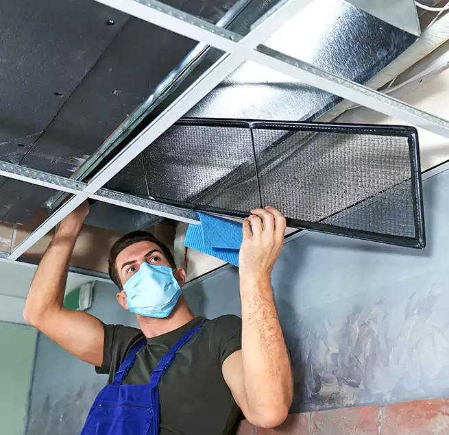 Why Homeowners Businesses Trust Us in Jenison, MI