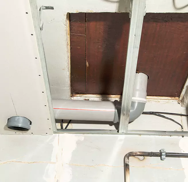 Why Homeowners & Businesses Trust Us in Jenison, MI?