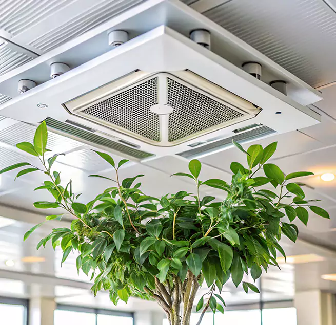 Why Homeowners & Businesses Trust Us in Jenison, MI?